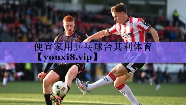 便宜家用乒乓球台其利体育
