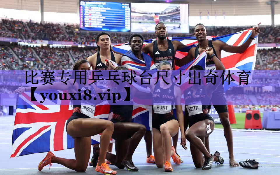 比赛专用乒乓球台尺寸出奇体育