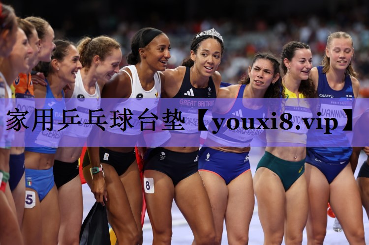 家用乒乓球台垫